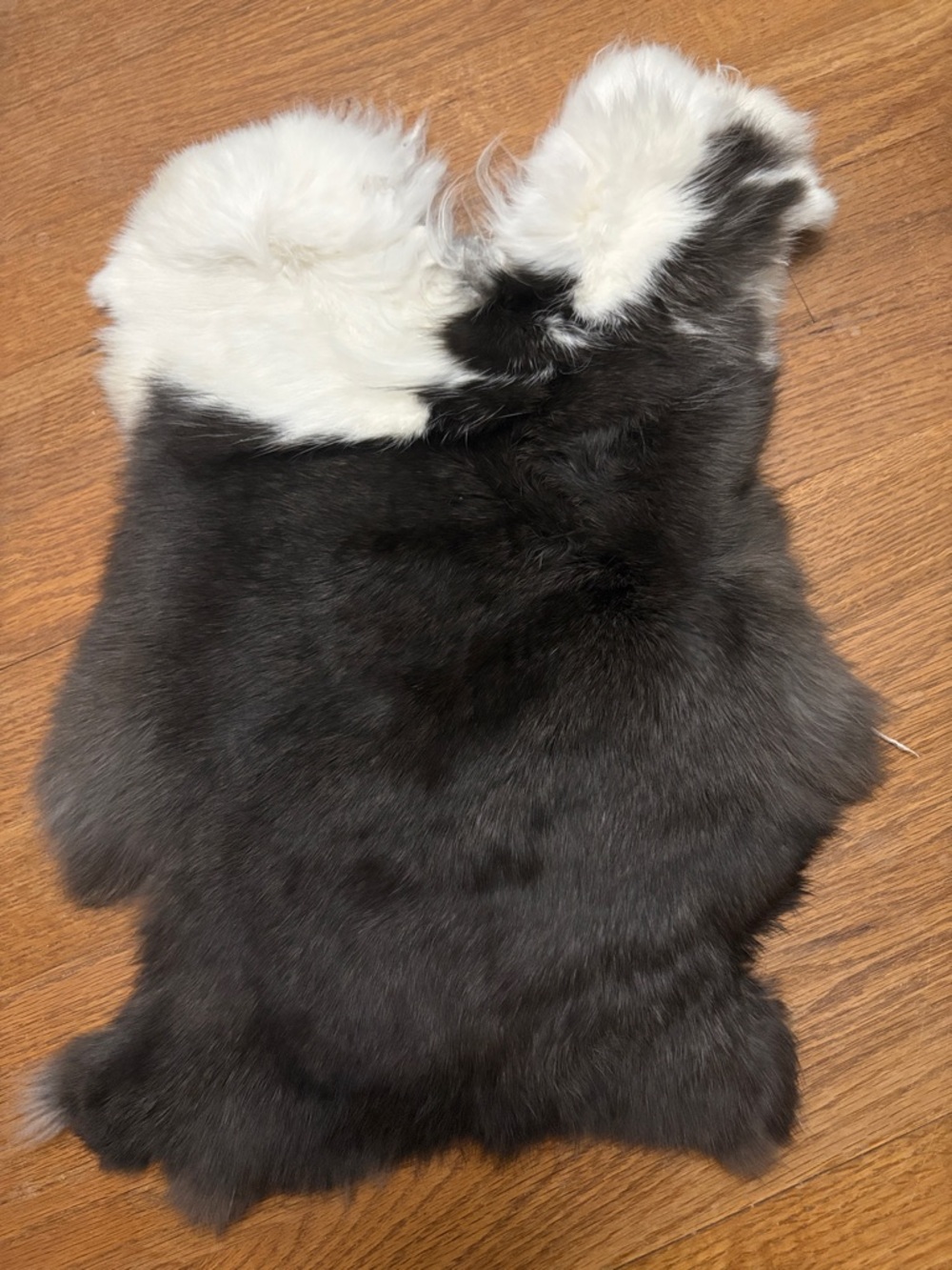0864 rabbit fur pelt